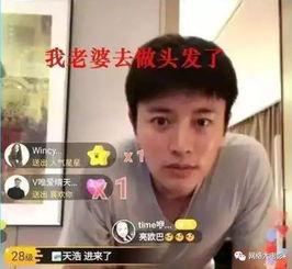 娱乐圈吃瓜帮主是谁啊百度云,揭秘百度云背后的神秘人物