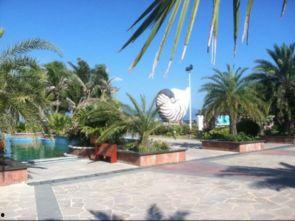 娱乐718吃瓜三亚,三亚吃瓜盛宴，明星幕后故事大曝光！