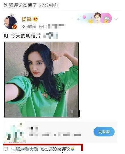 娱乐吃瓜八卦图片表情包,吃瓜群众眼中的明星表情包大赏