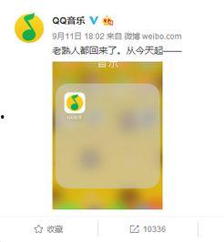 娱乐吃瓜用的音乐软件,娱乐吃瓜者的音乐盛宴