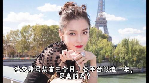 娱乐吃瓜张凌赫白鹿,娱乐圈的甜蜜瓜田