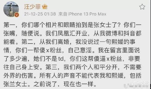 娱乐圈吃瓜年鉴小说,揭秘年度吃瓜大事件